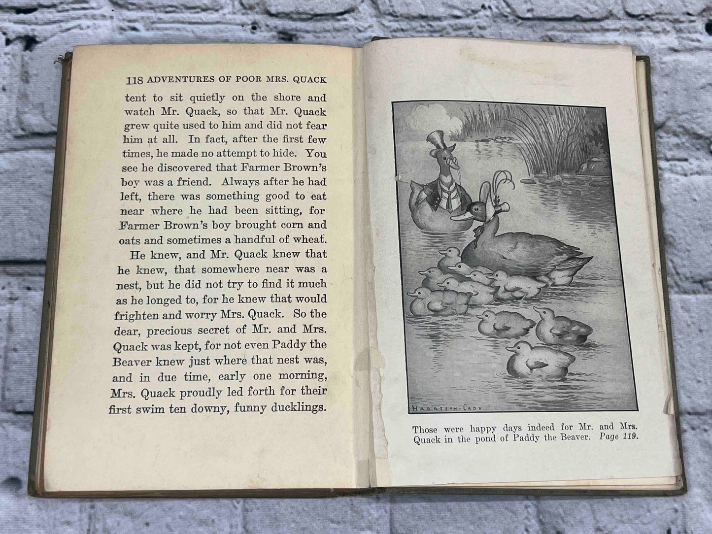 Adventures of Poor Mrs. Quack