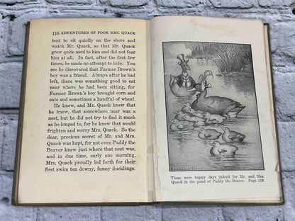 Adventures of Poor Mrs. Quack