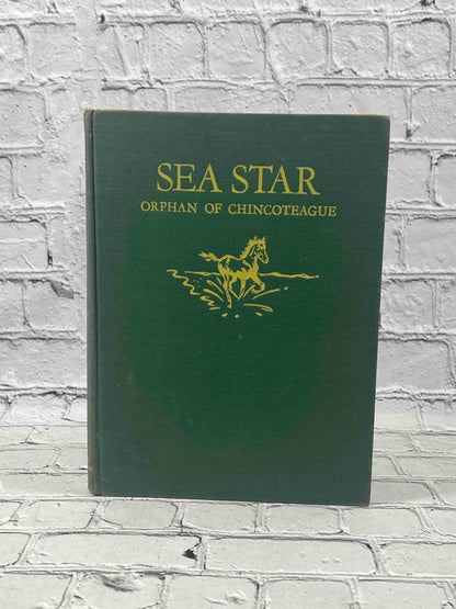 Sea Star Orphan of Chincotrague
