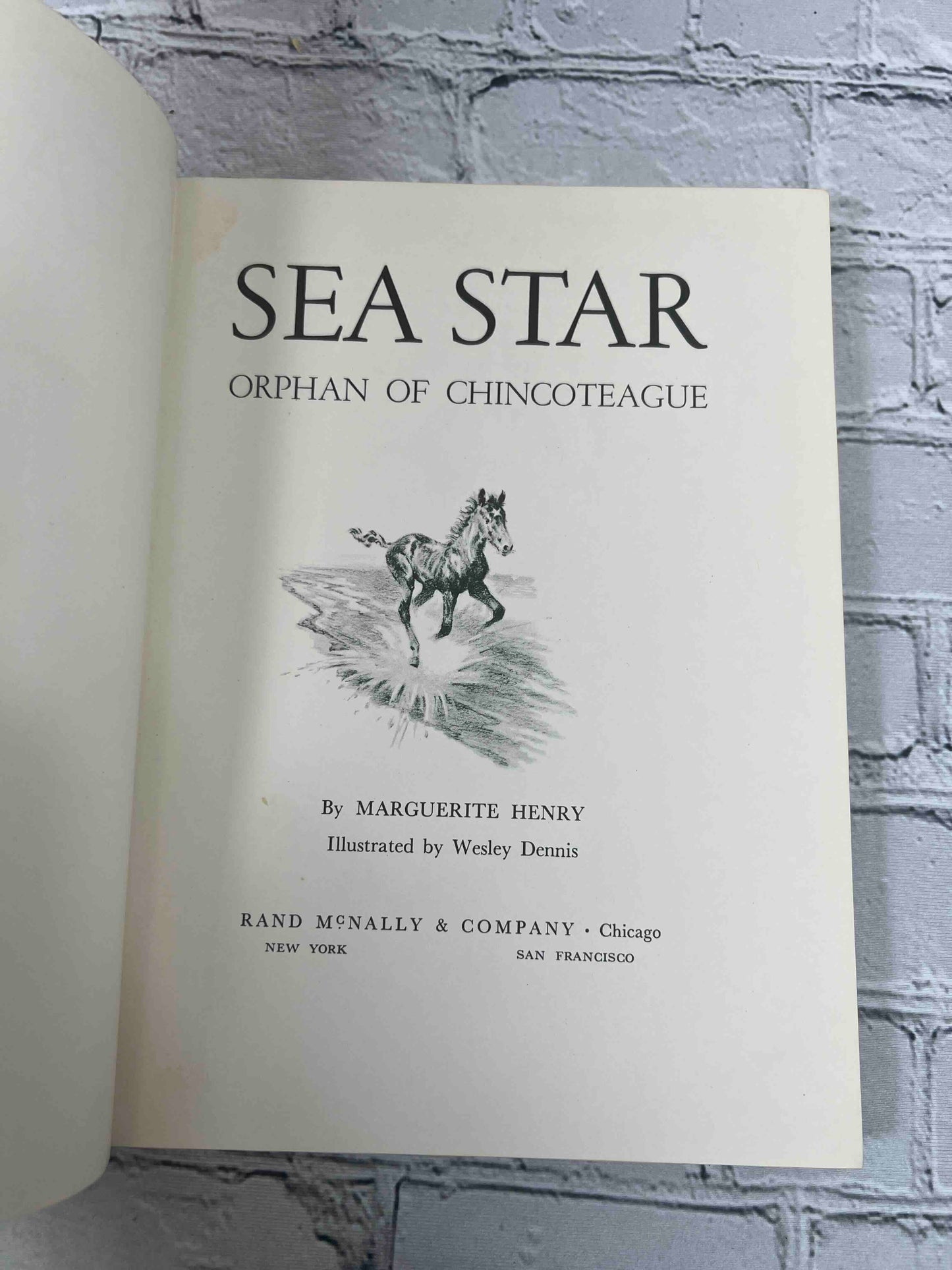 Sea Star Orphan of Chincotrague
