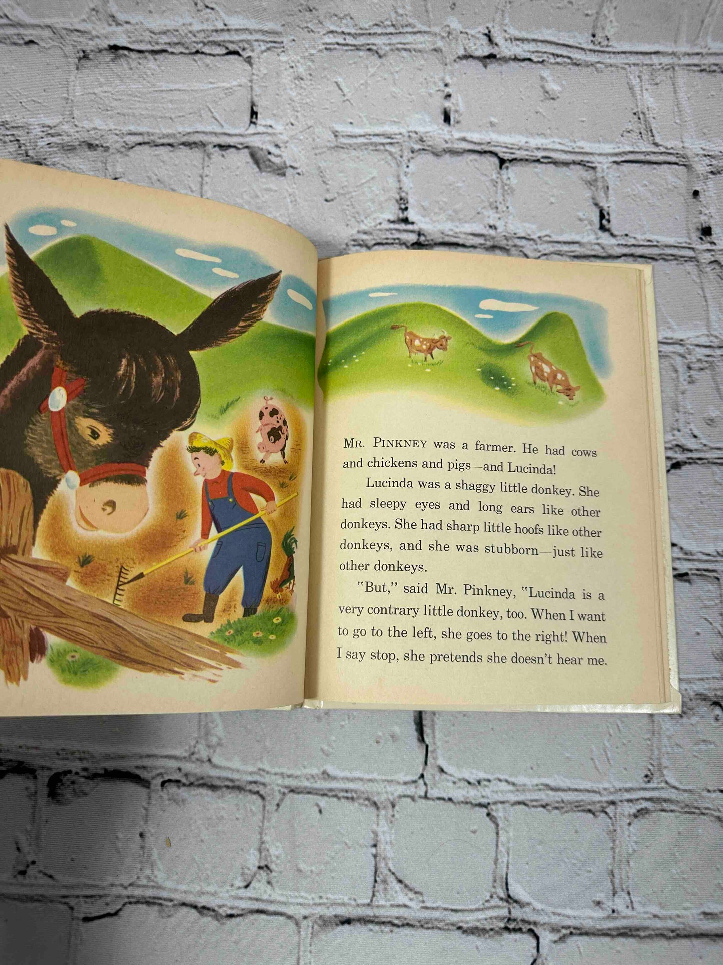 Lucinda the Little Donkey (Tip-Top Elf Book)