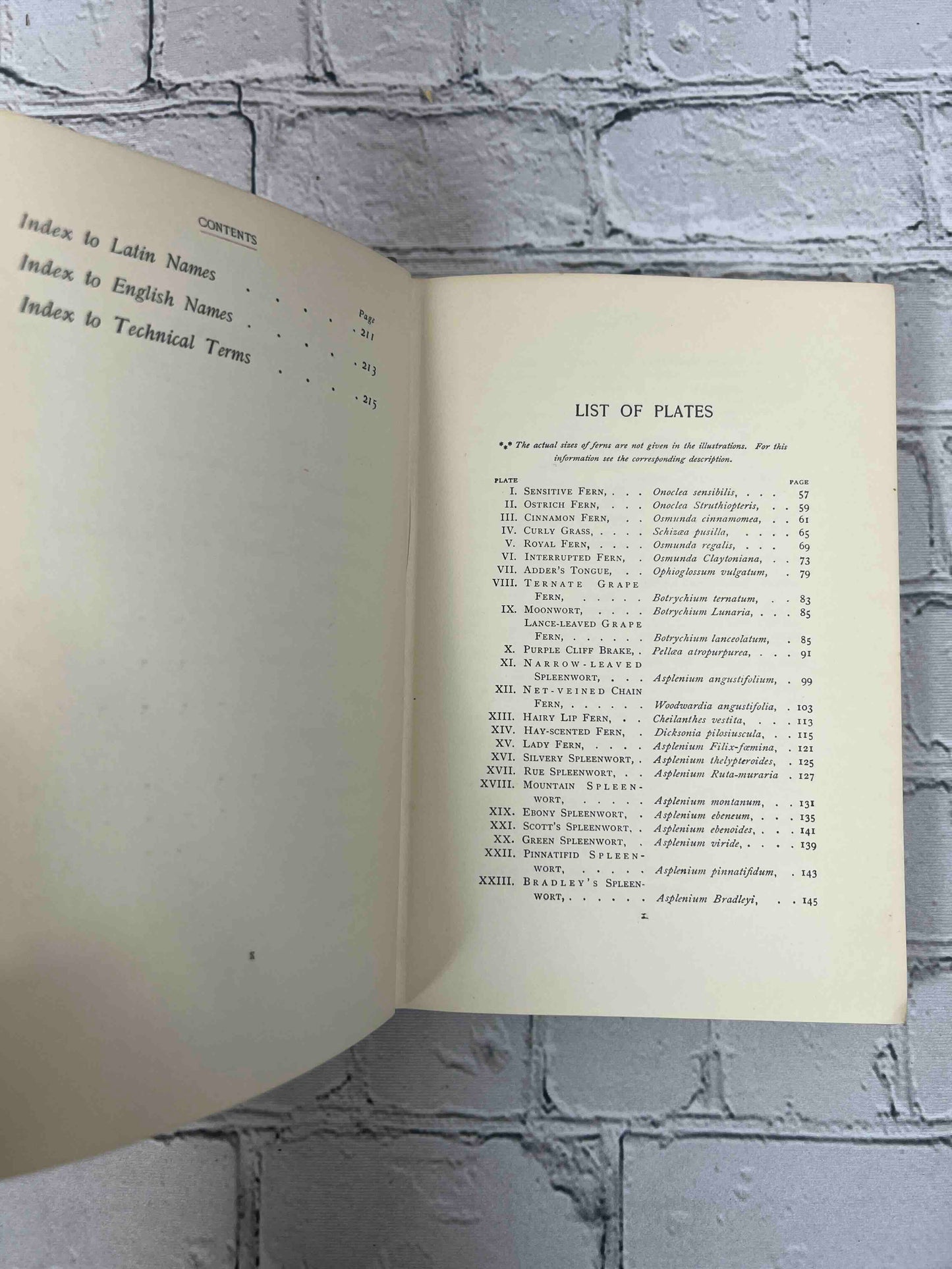 How to Know the Ferns: A Guide to the Names, Haunts, and Habits of Our Common Ferns
