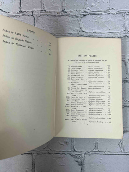 How to Know the Ferns: A Guide to the Names, Haunts, and Habits of Our Common Ferns