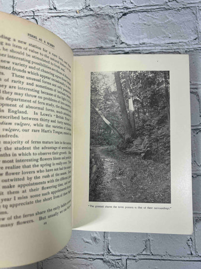 How to Know the Ferns: A Guide to the Names, Haunts, and Habits of Our Common Ferns