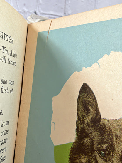 Little Folks Story of Rin-Tin-Tin