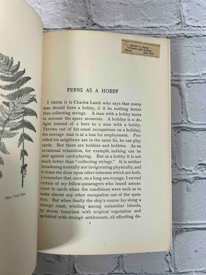 How to Know the Ferns: A Guide to the Names, Haunts, and Habits of Our Common Ferns