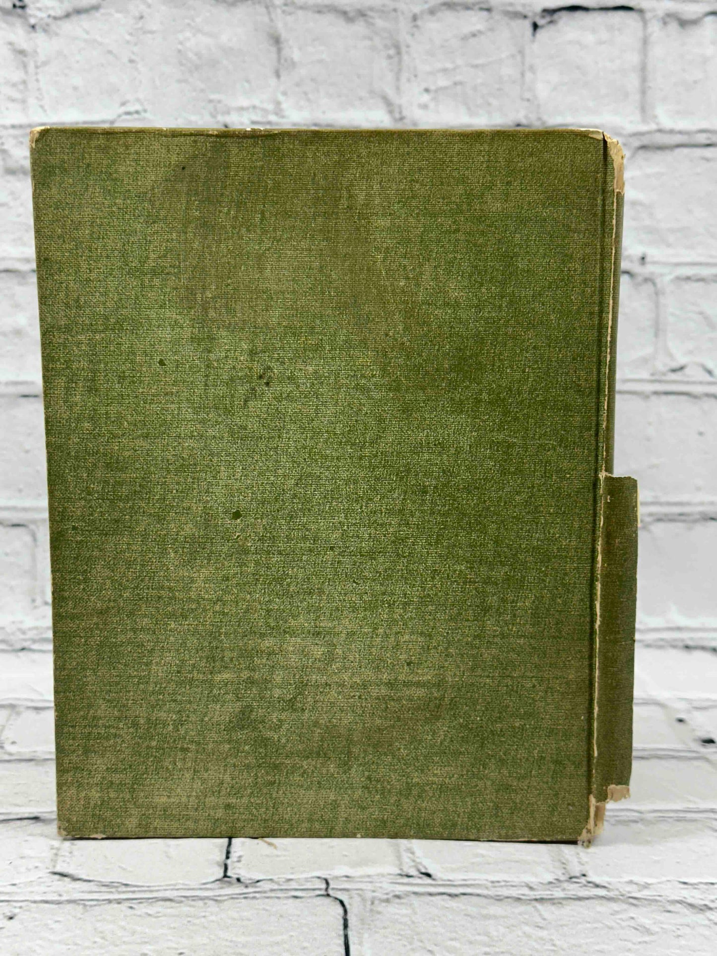 Loraine and the Little People of the Spring