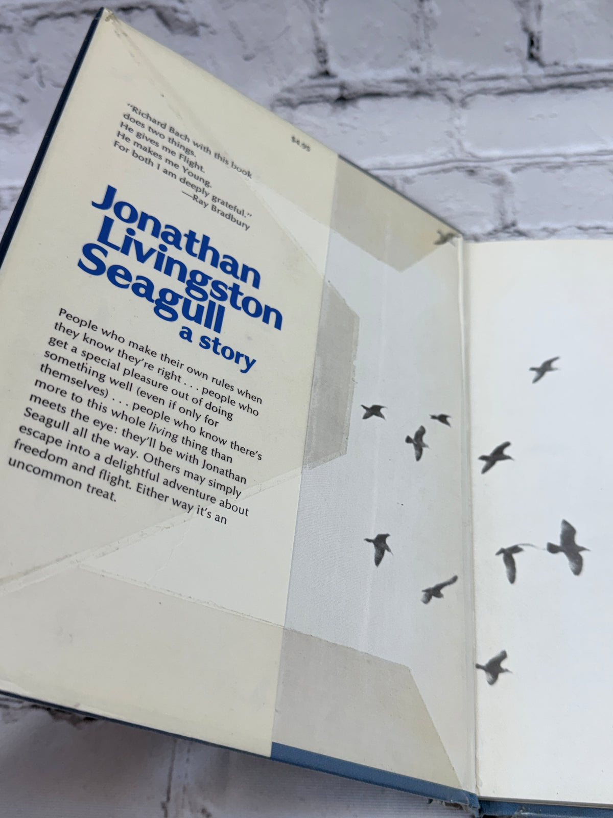 Jonathan Livingston Seagull: A Story