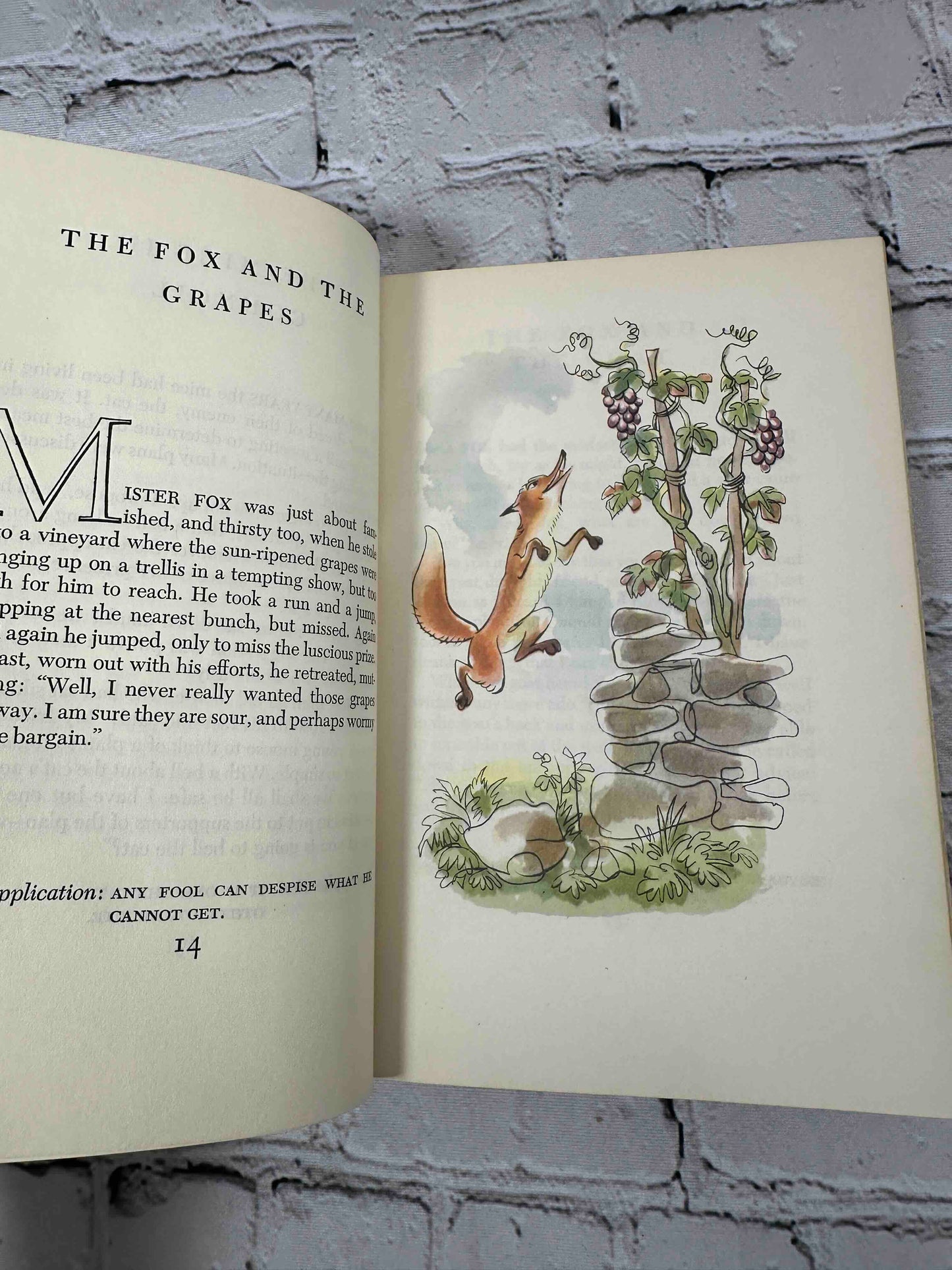 Aesop's Fables (Illustrated Junior Library)