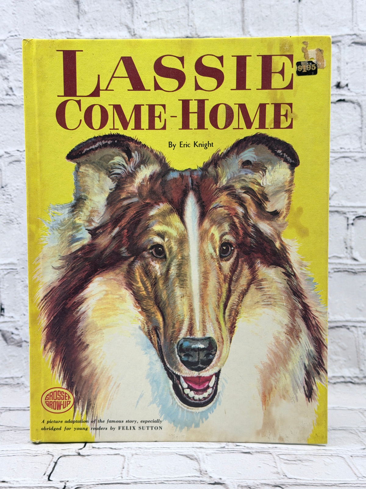 Lassie Come-Home