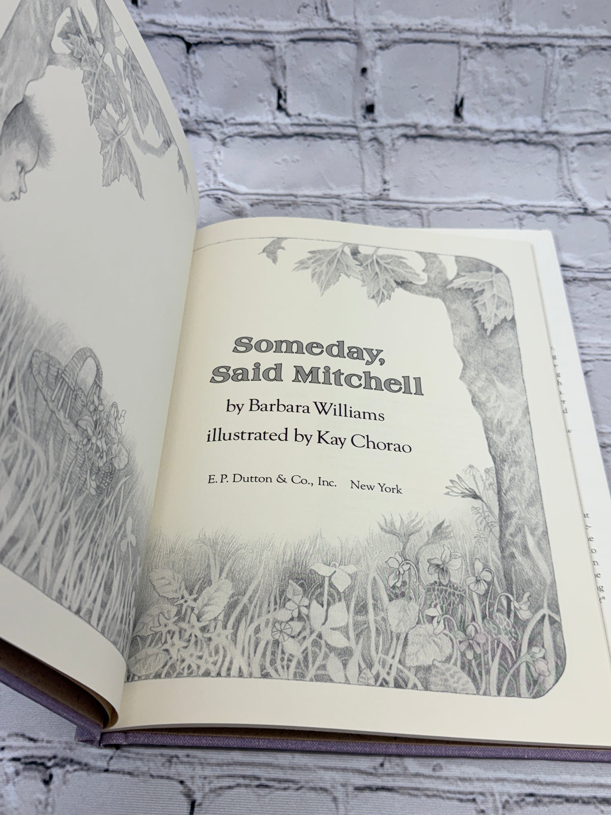Someday, Said Mitchell