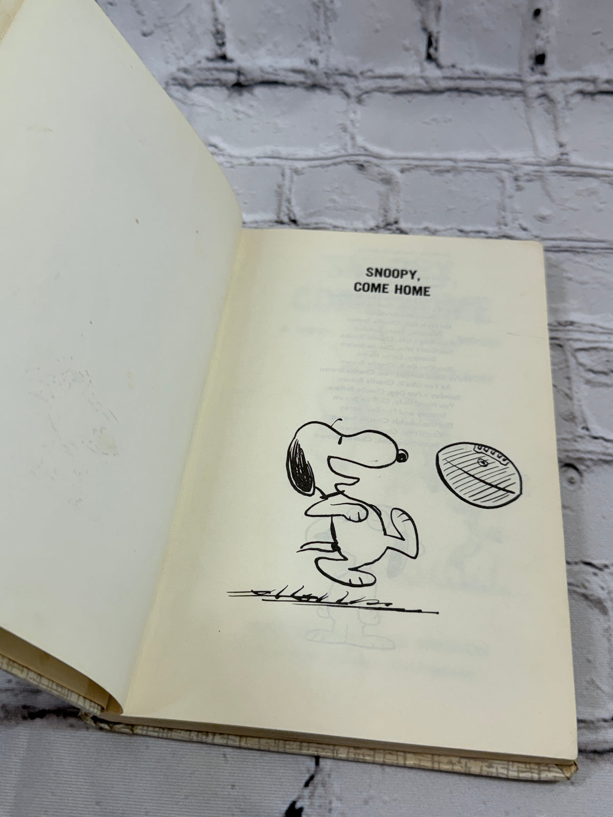 Snoopy, Come Home