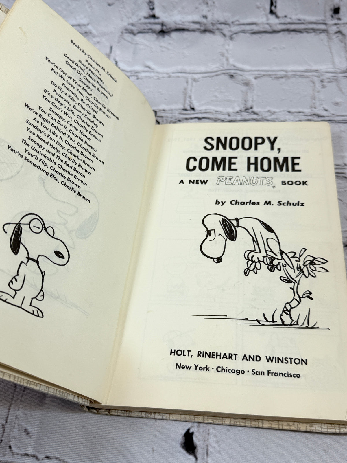 Snoopy, Come Home