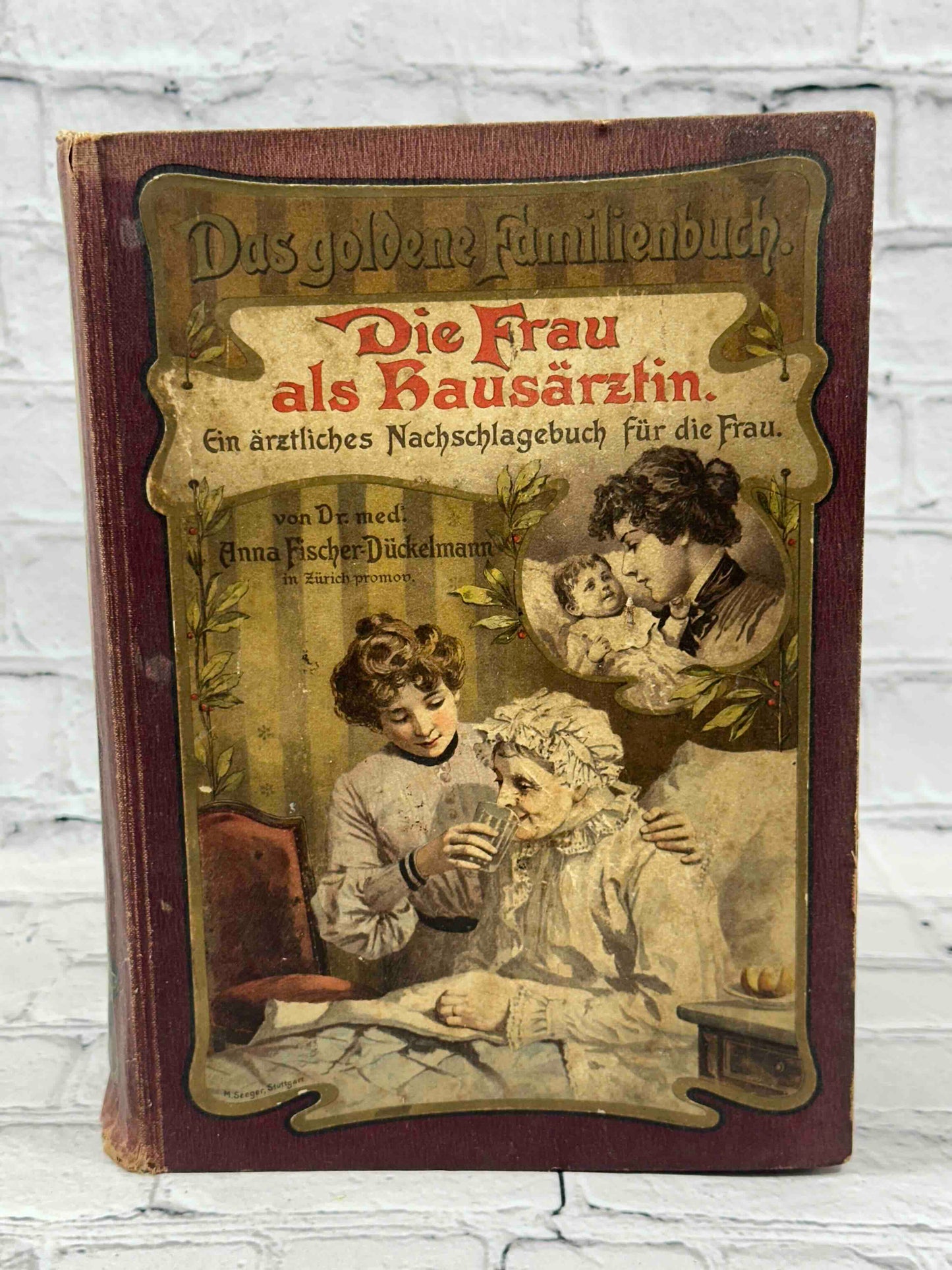 Das Goldene Familienbuch Die Frau Als Hausarztin (The Golden Women's book)