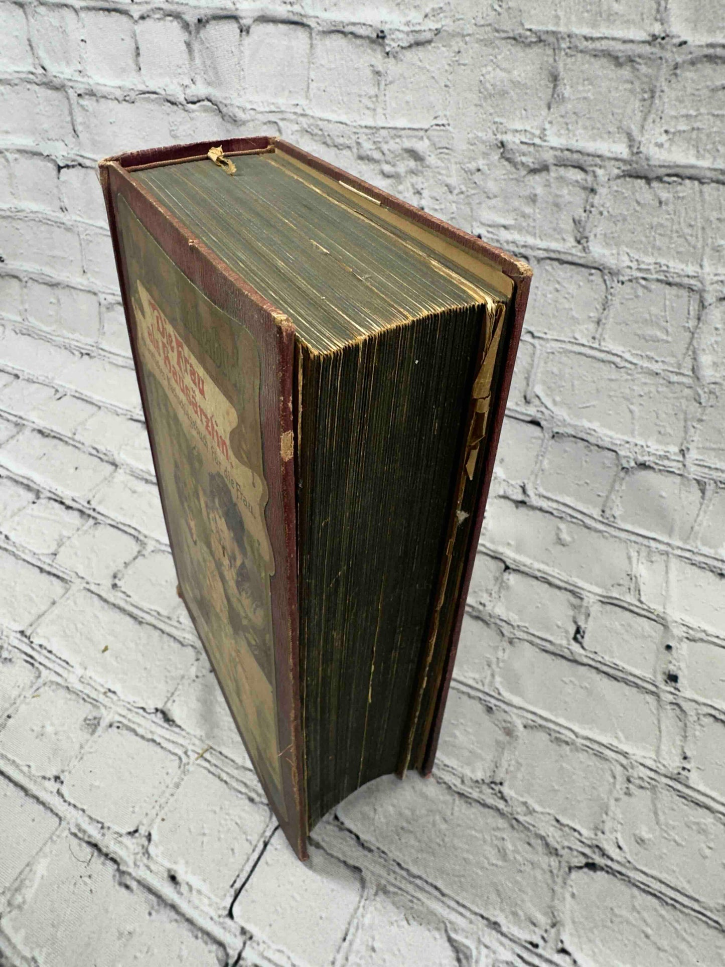 Das Goldene Familienbuch Die Frau Als Hausarztin (The Golden Women's book)