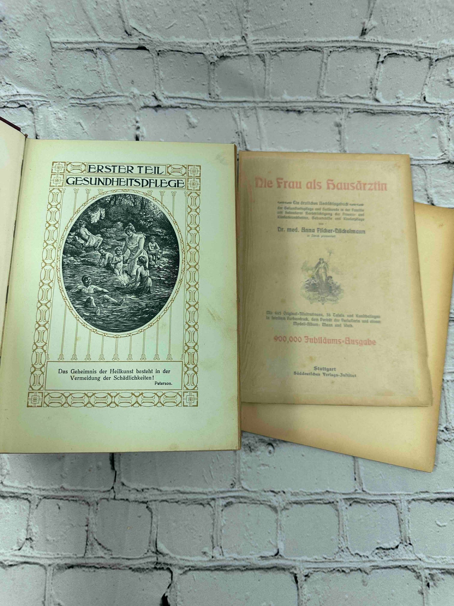 Das Goldene Familienbuch Die Frau Als Hausarztin (The Golden Women's book)