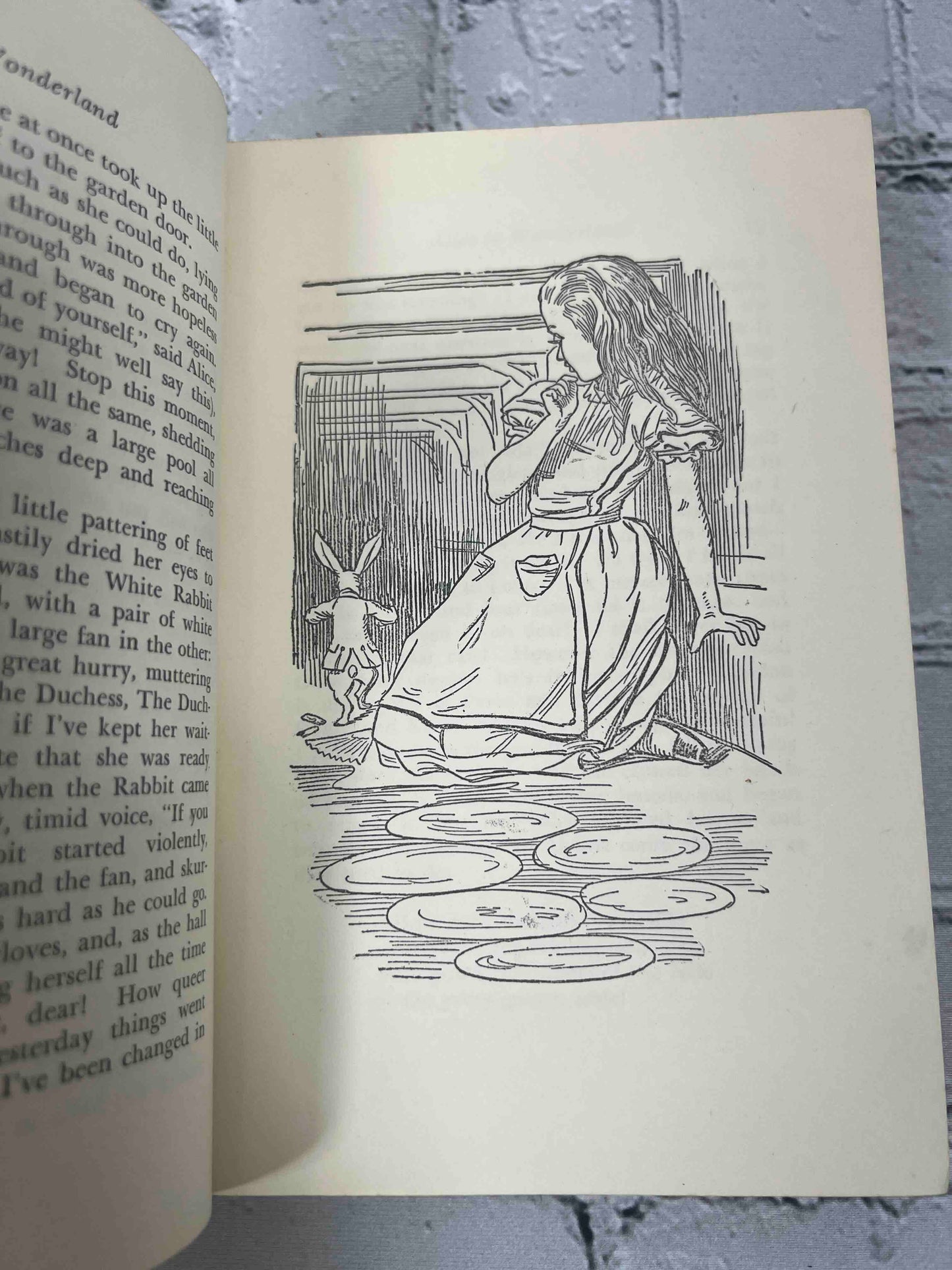 Alice in Wonderland and Through the Looking Glass