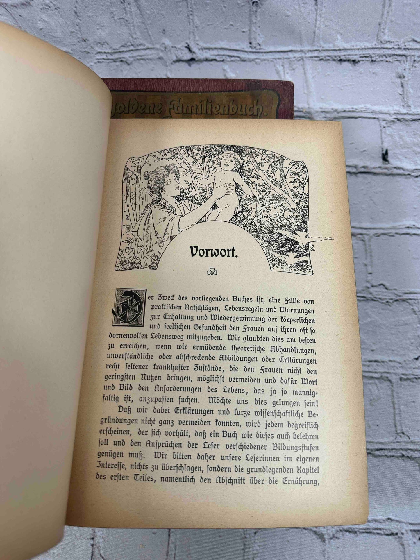 Das Goldene Familienbuch Die Frau Als Hausarztin (The Golden Women's book)