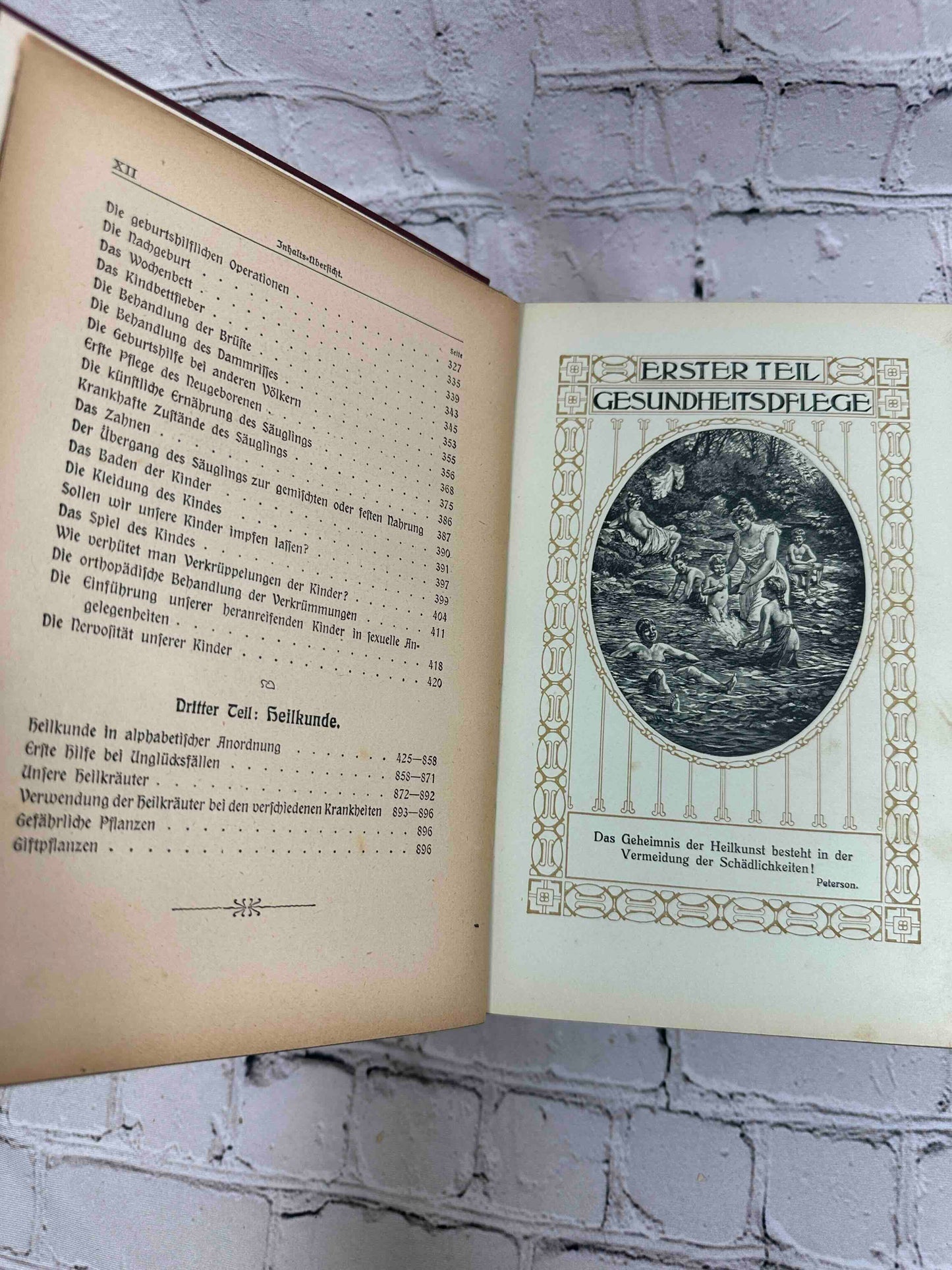 Das Goldene Familienbuch Die Frau Als Hausarztin (The Golden Women's book)