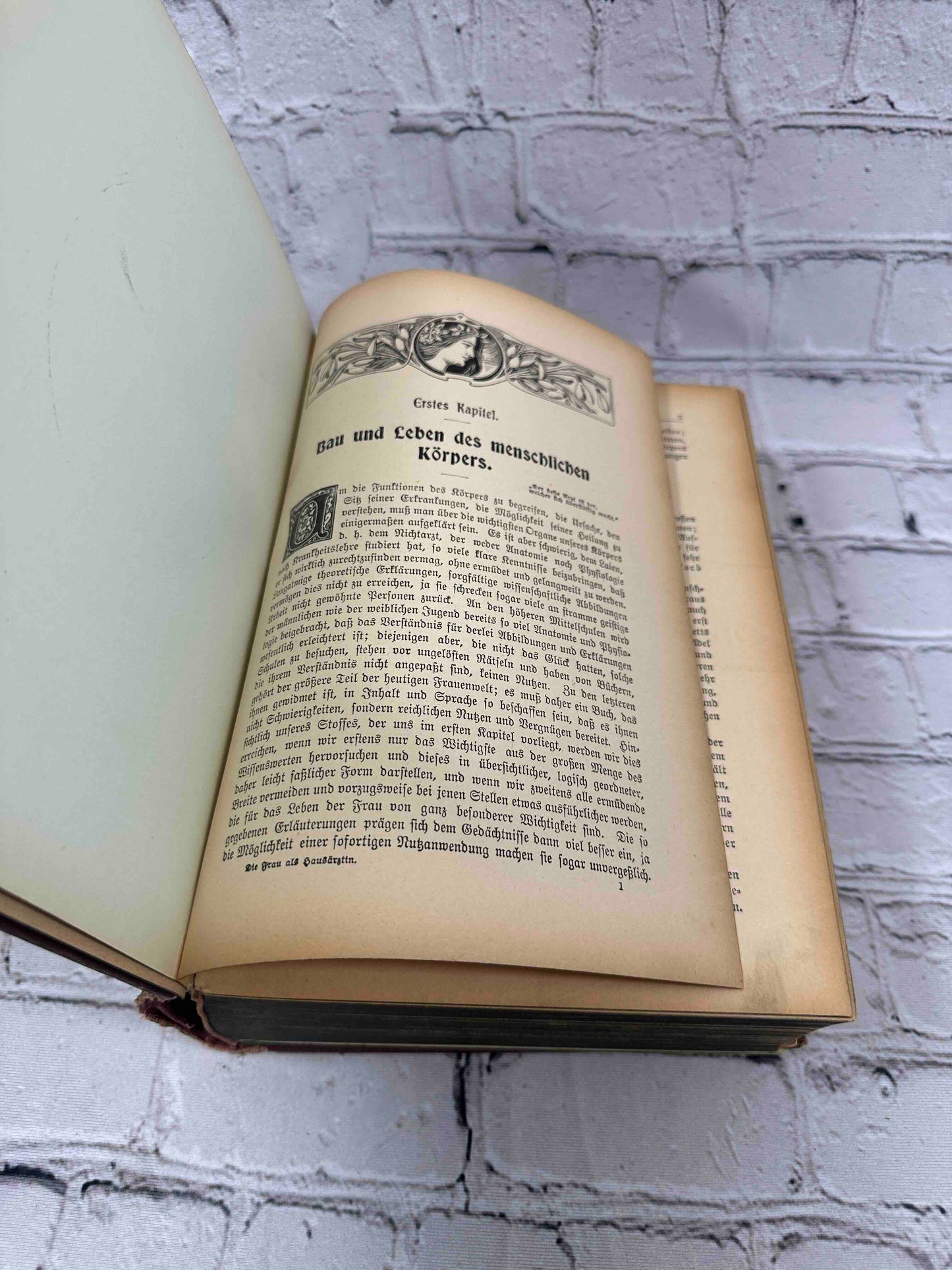 Das Goldene Familienbuch Die Frau Als Hausarztin (The Golden Women's book)