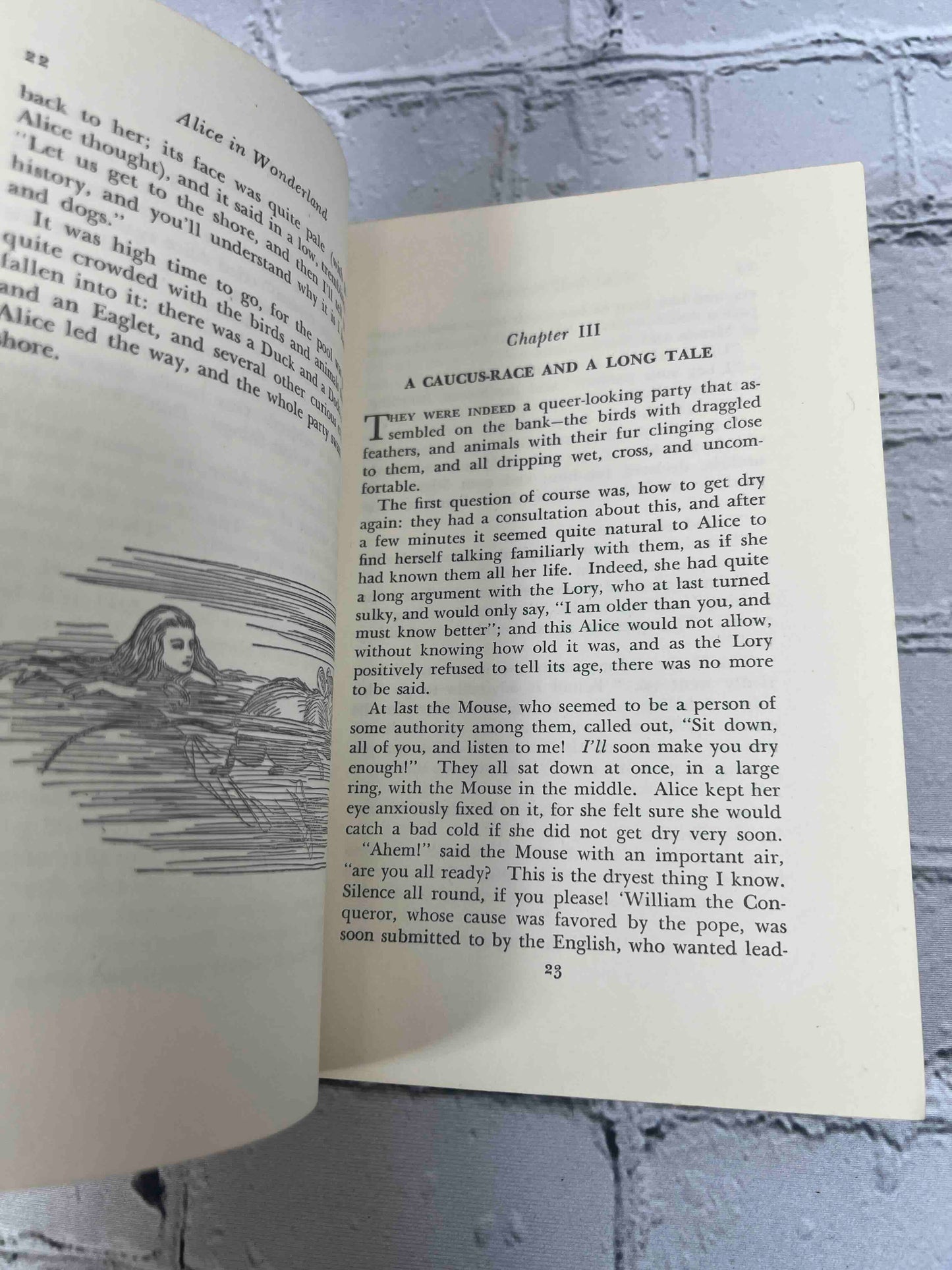 Alice in Wonderland and Through the Looking Glass