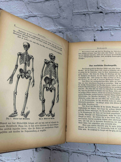 Das Goldene Familienbuch Die Frau Als Hausarztin (The Golden Women's book)