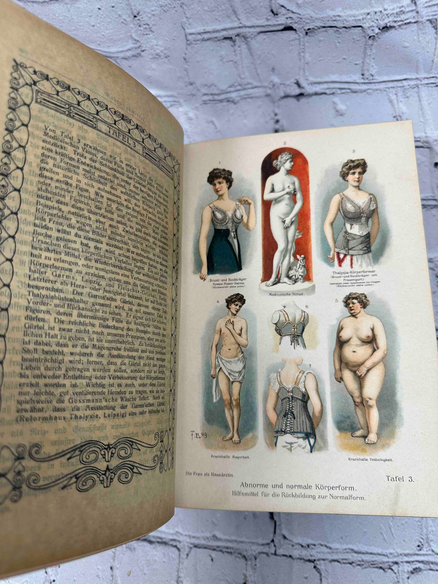 Das Goldene Familienbuch Die Frau Als Hausarztin (The Golden Women's book)