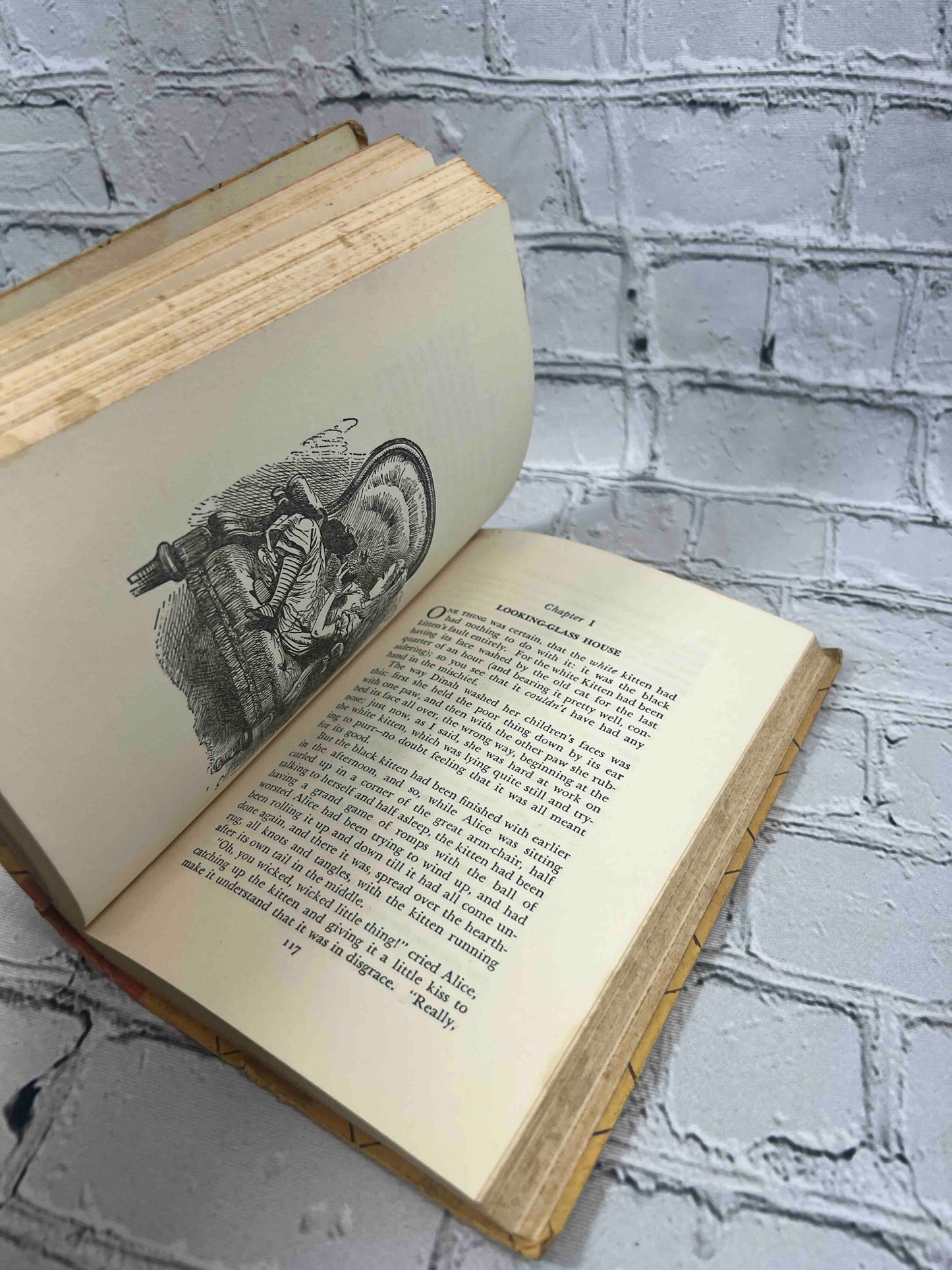 Alice in Wonderland and Through the Looking Glass