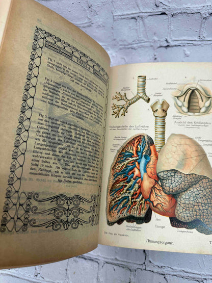 Das Goldene Familienbuch Die Frau Als Hausarztin (The Golden Women's book)