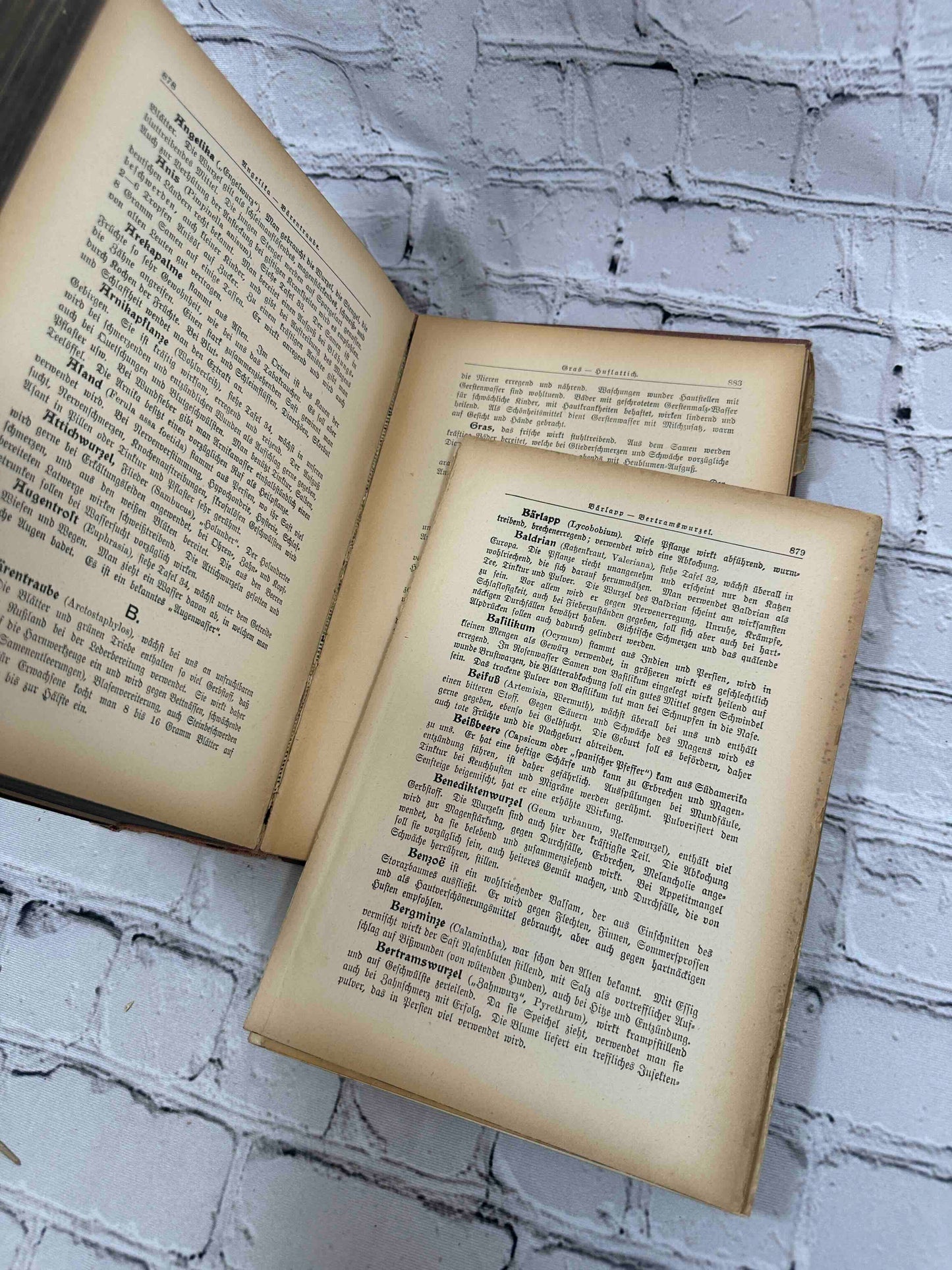 Das Goldene Familienbuch Die Frau Als Hausarztin (The Golden Women's book)