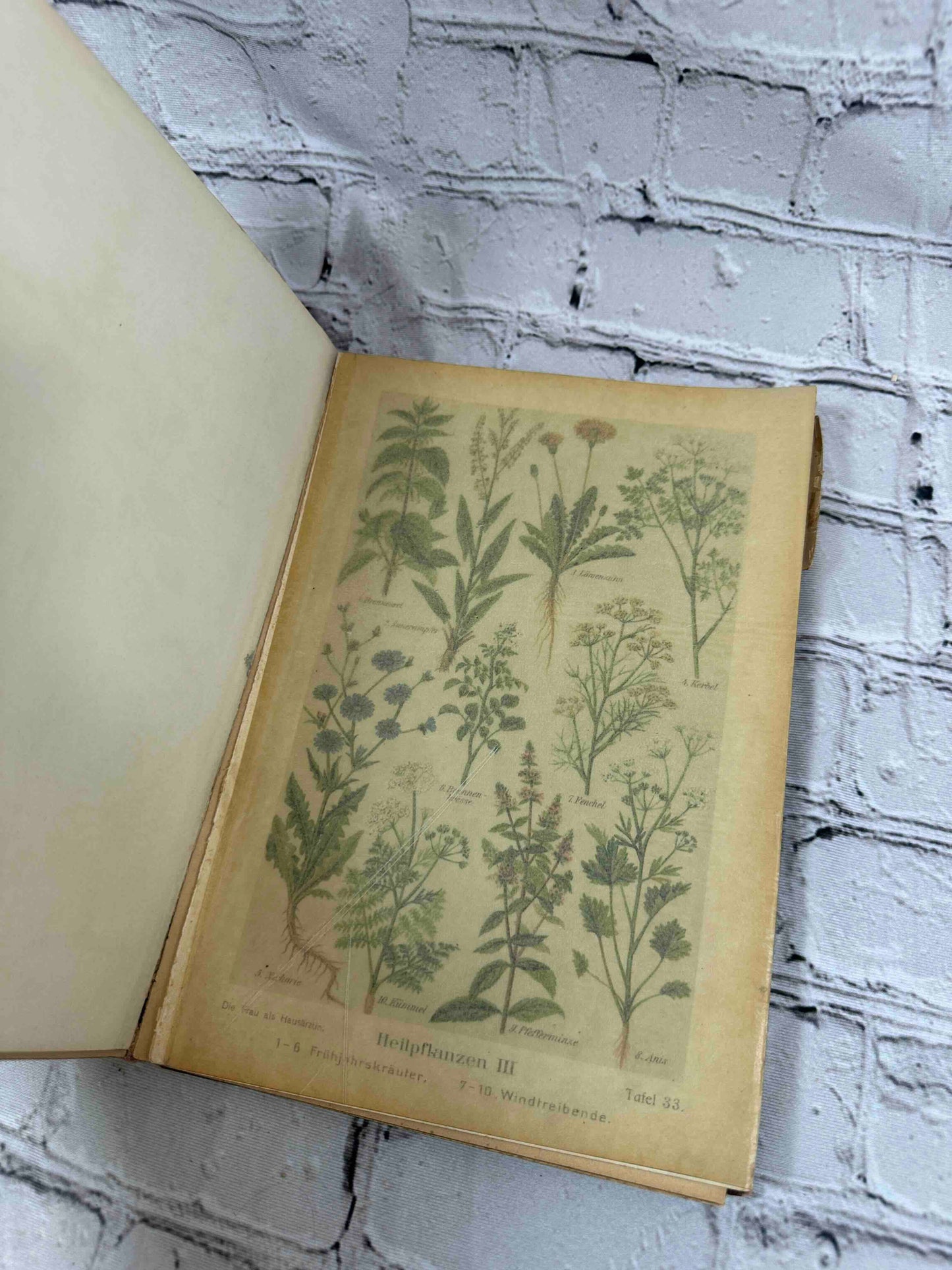 Das Goldene Familienbuch Die Frau Als Hausarztin (The Golden Women's book)