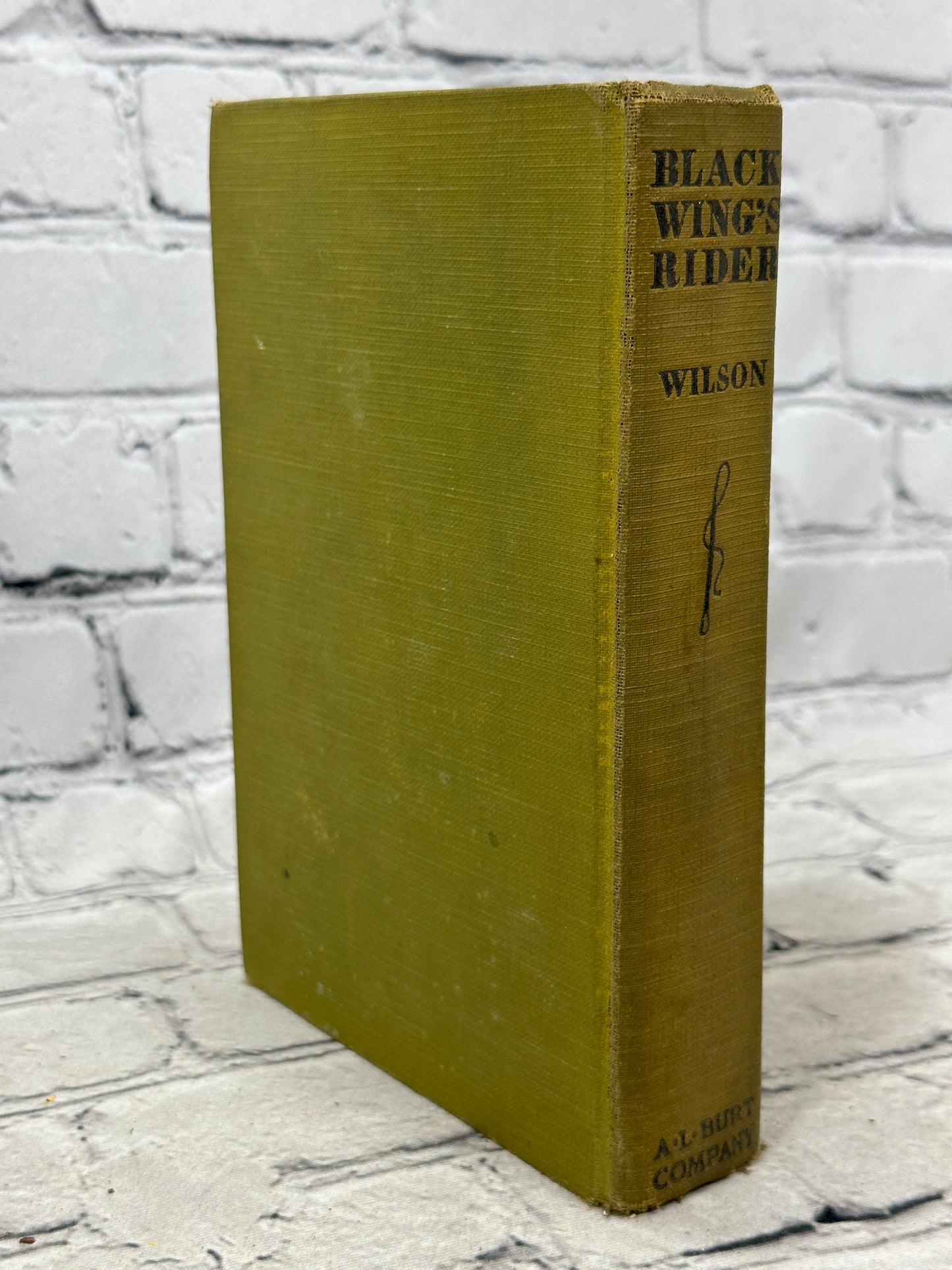 Black Wing's Rider by Cherry Wilson (1934)