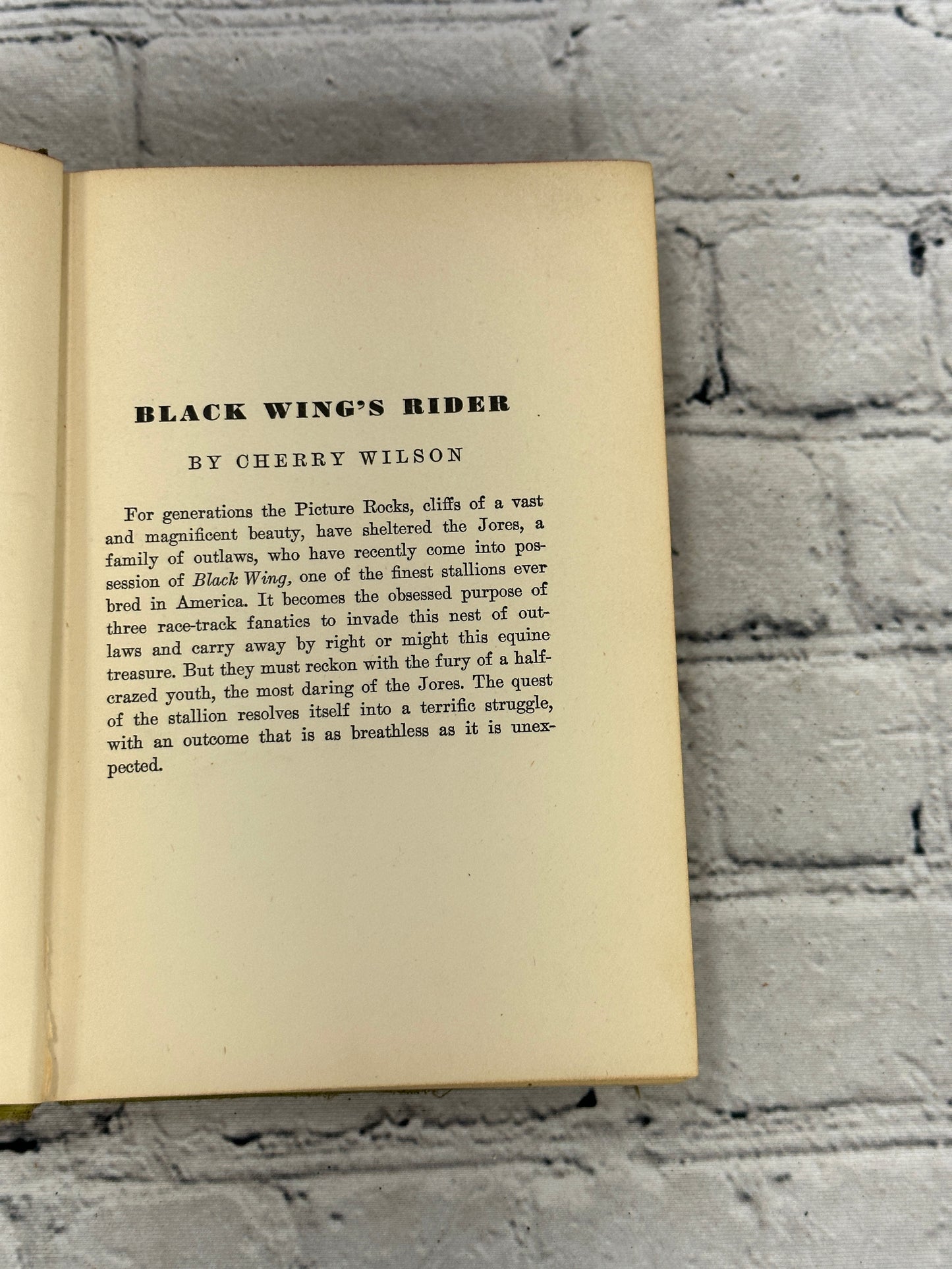 Black Wing's Rider by Cherry Wilson (1934)