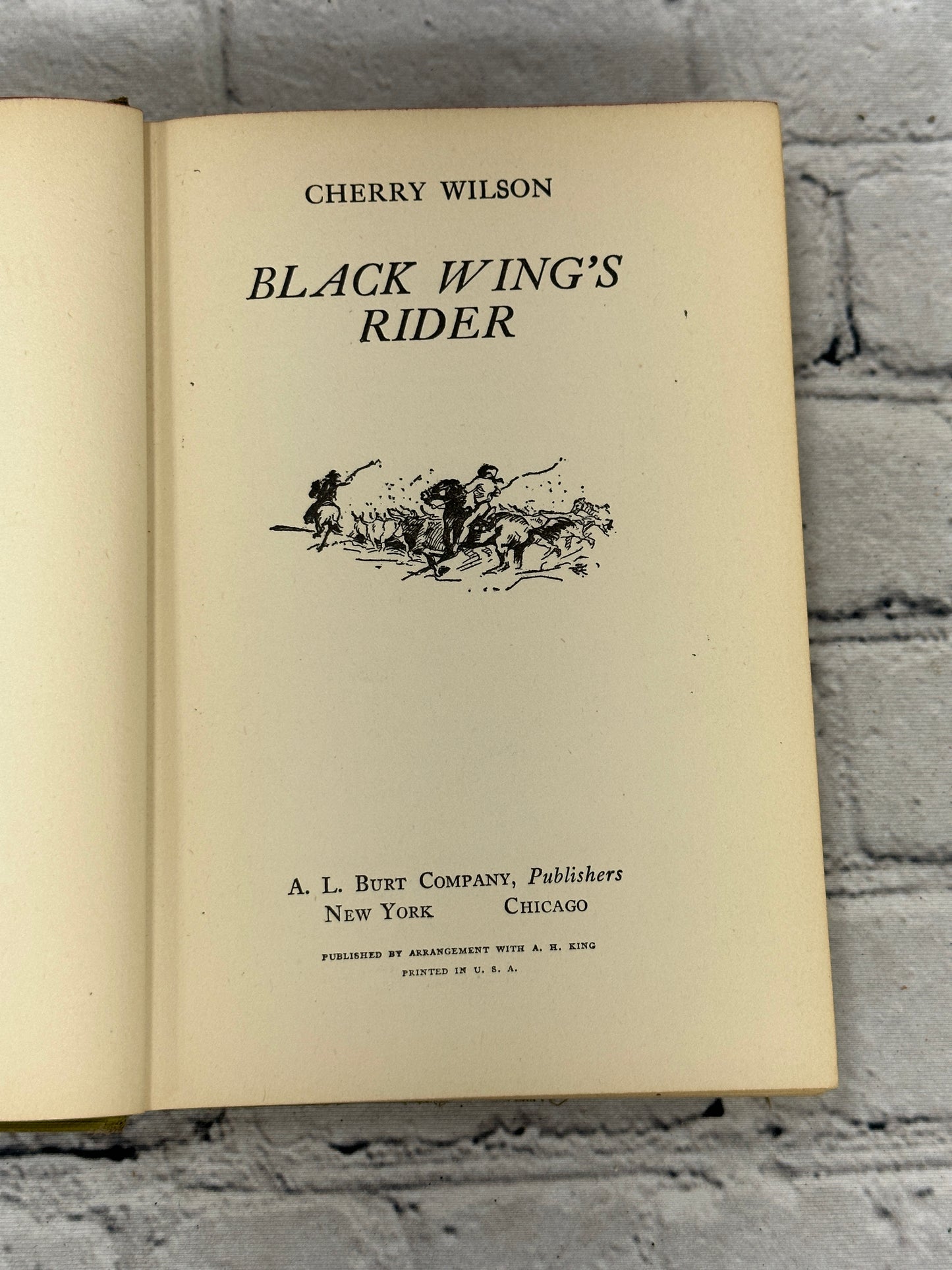 Black Wing's Rider by Cherry Wilson (1934)