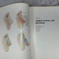 Aesthetic Rhinoplasty By Jack H Sheen [First Print · 1978]