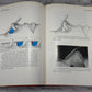 Aesthetic Rhinoplasty By Jack H Sheen [First Print · 1978]