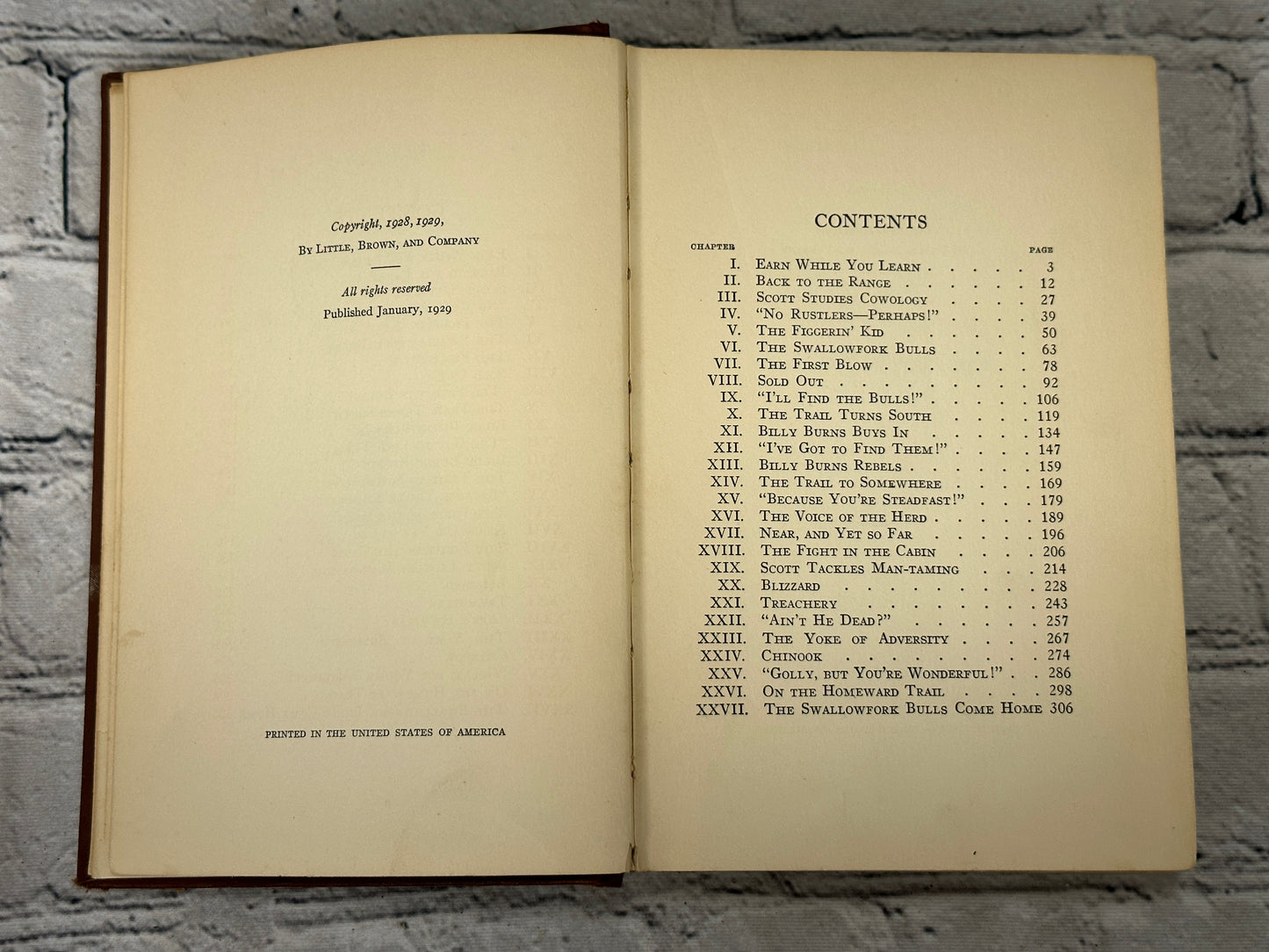 The Swallowfork Bulls & B.M. Blower (1929 · 1st Edition · 1st Print)