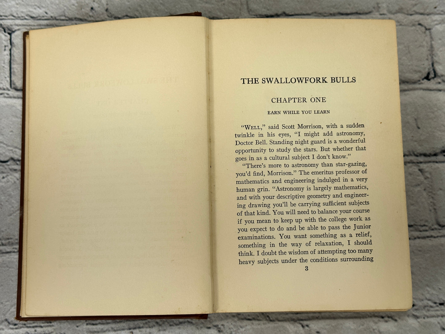 The Swallowfork Bulls & B.M. Blower (1929 · 1st Edition · 1st Print)