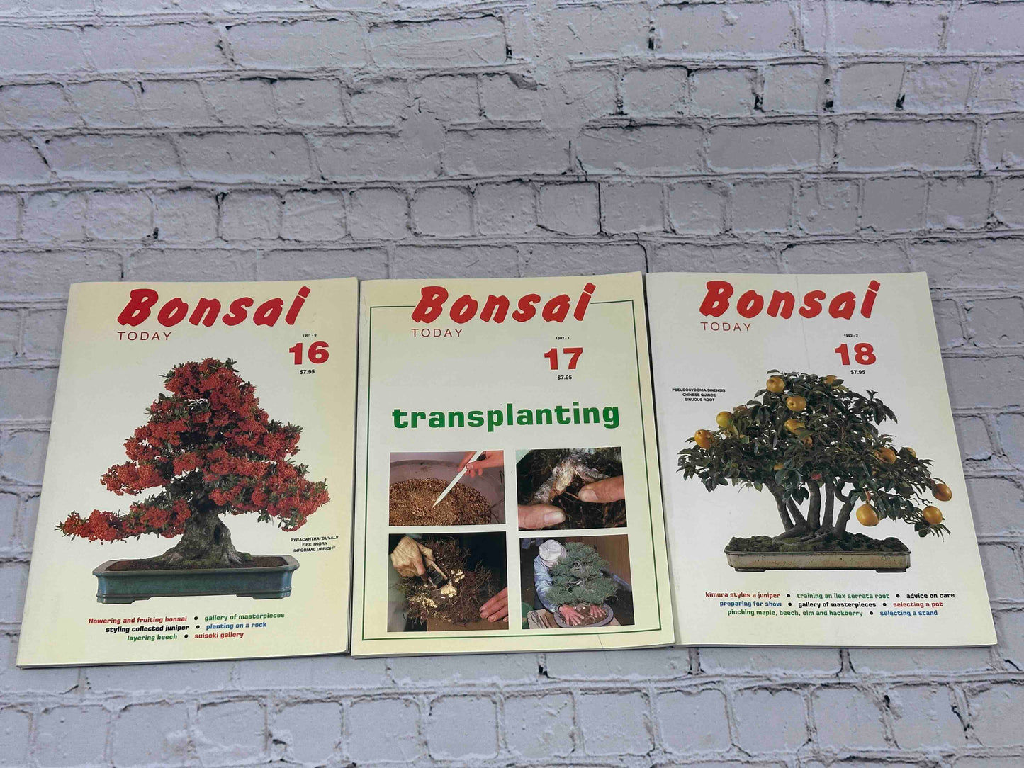 Bonsai Today Magazine [39 Issues]