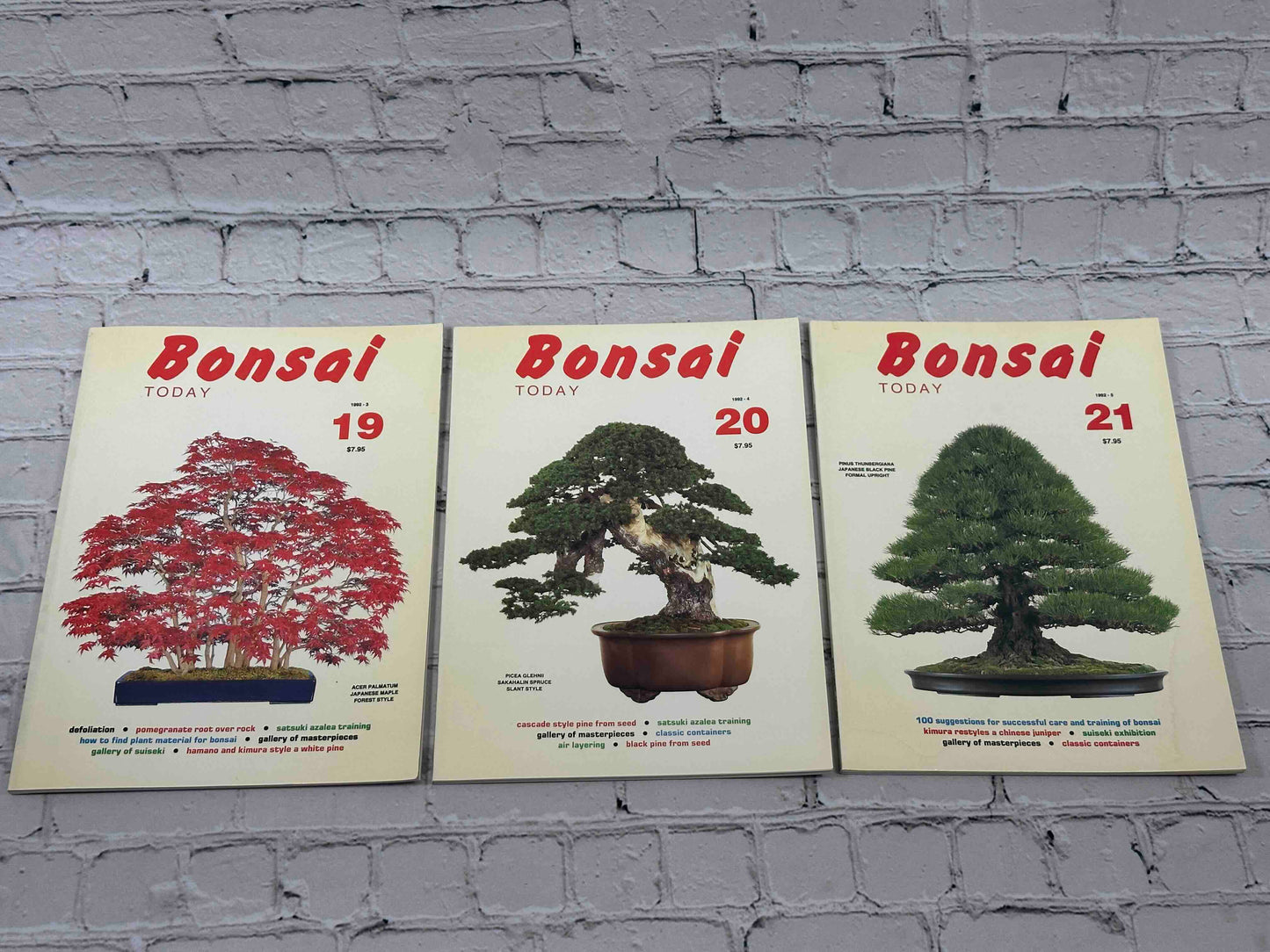 Bonsai Today Magazine [39 Issues]