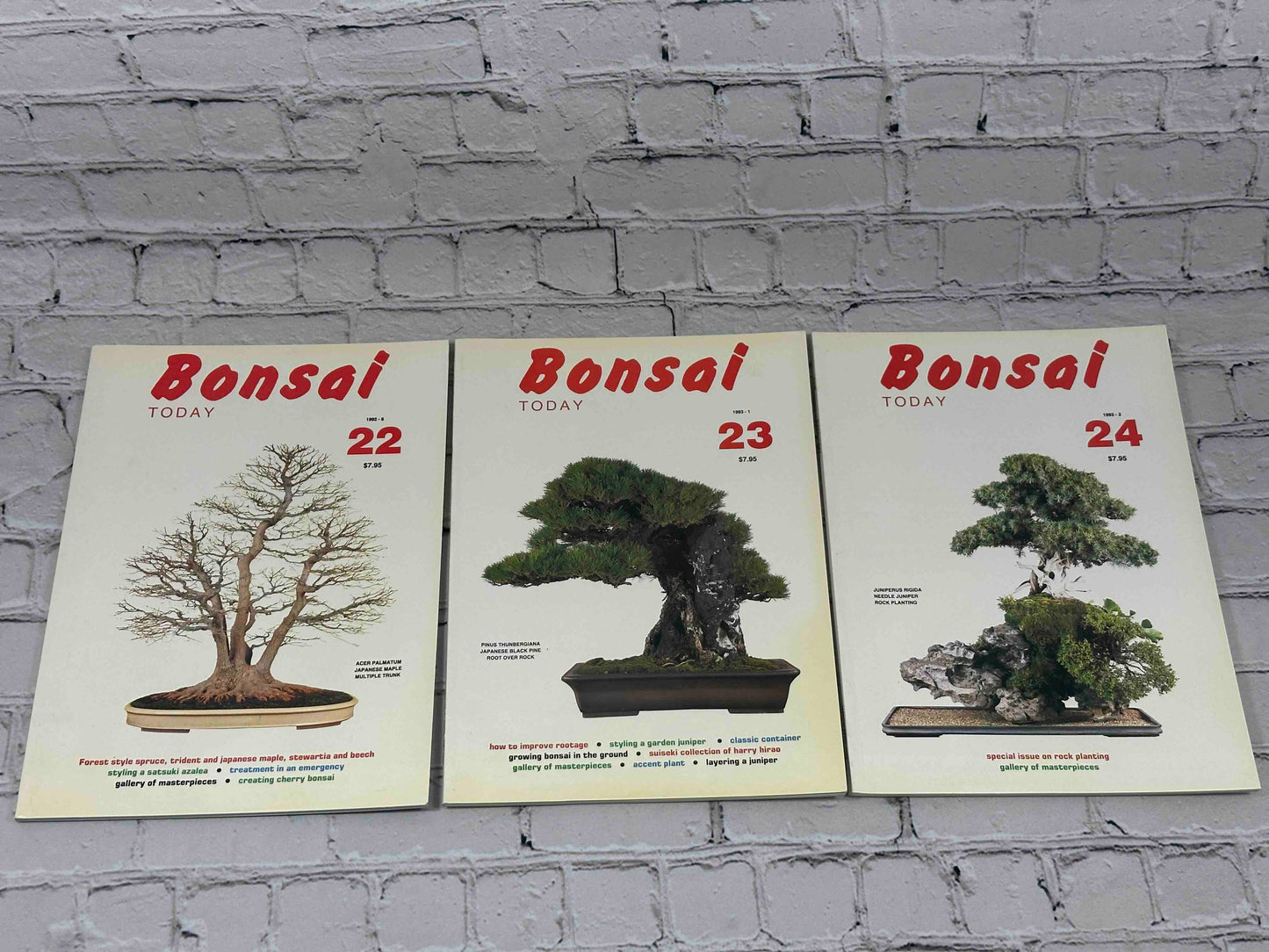 Bonsai Today Magazine [39 Issues]