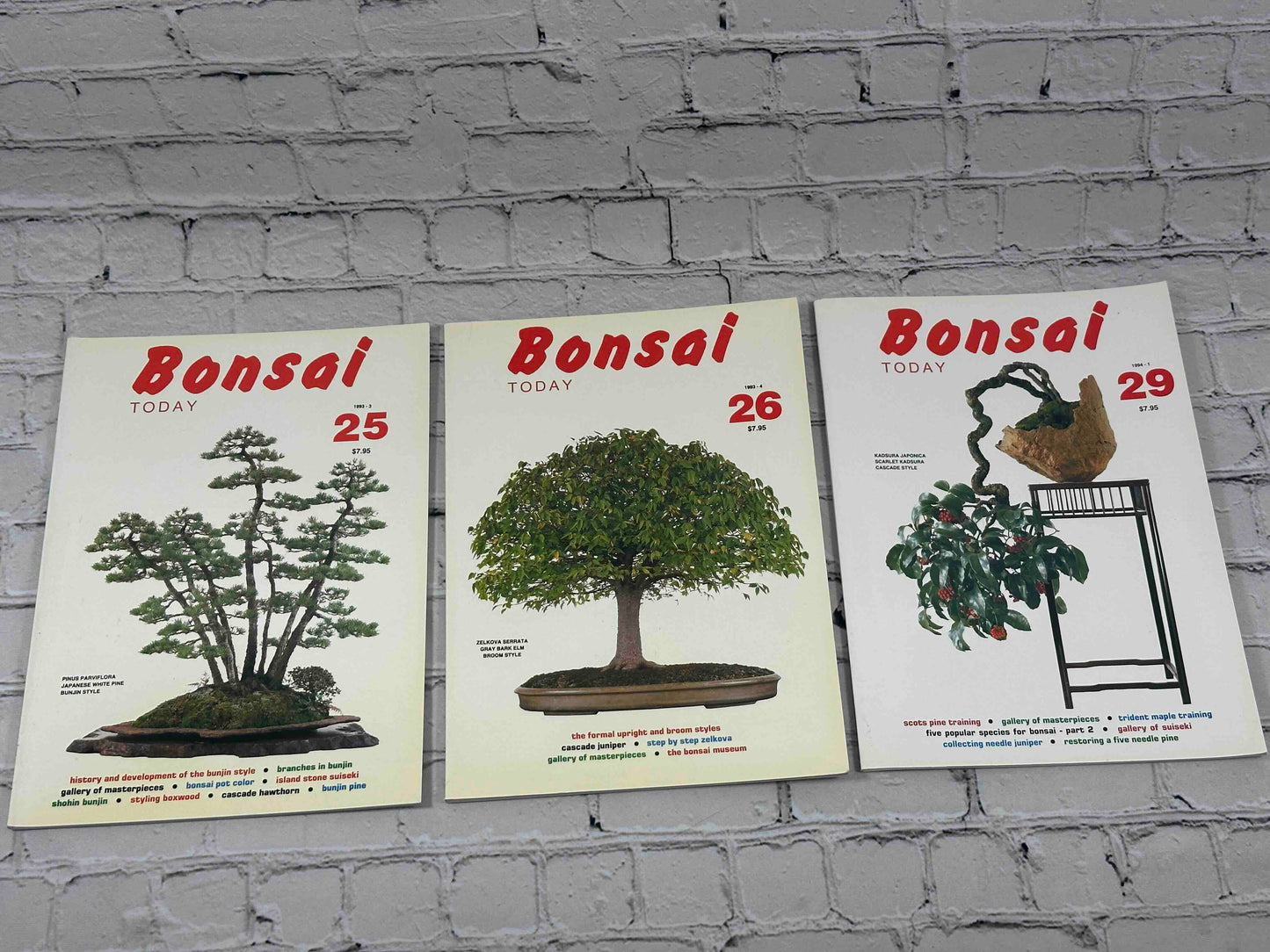 Bonsai Today Magazine [39 Issues]