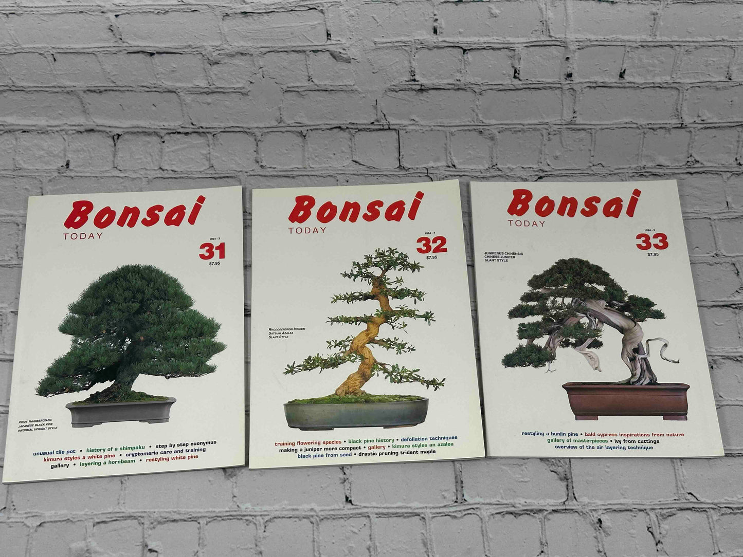 Bonsai Today Magazine [39 Issues]