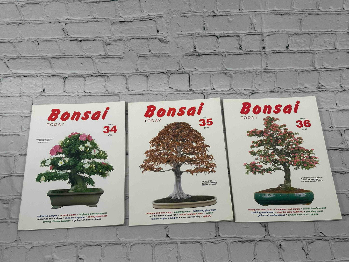 Bonsai Today Magazine [39 Issues]