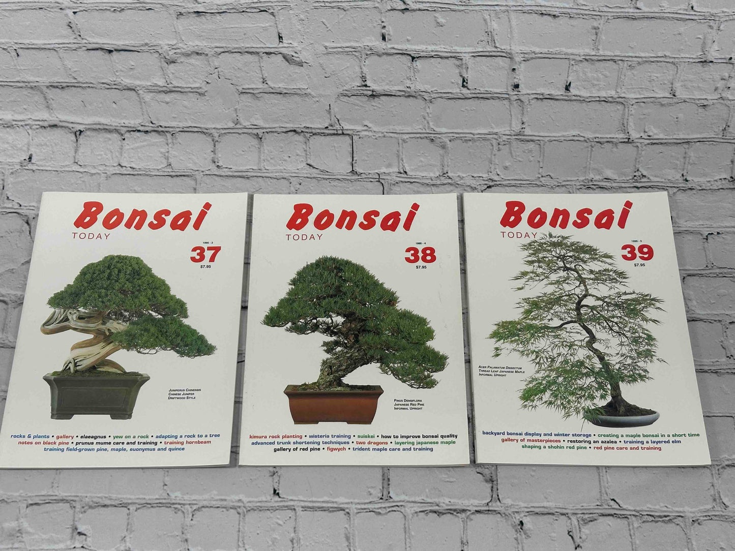 Bonsai Today Magazine [39 Issues]