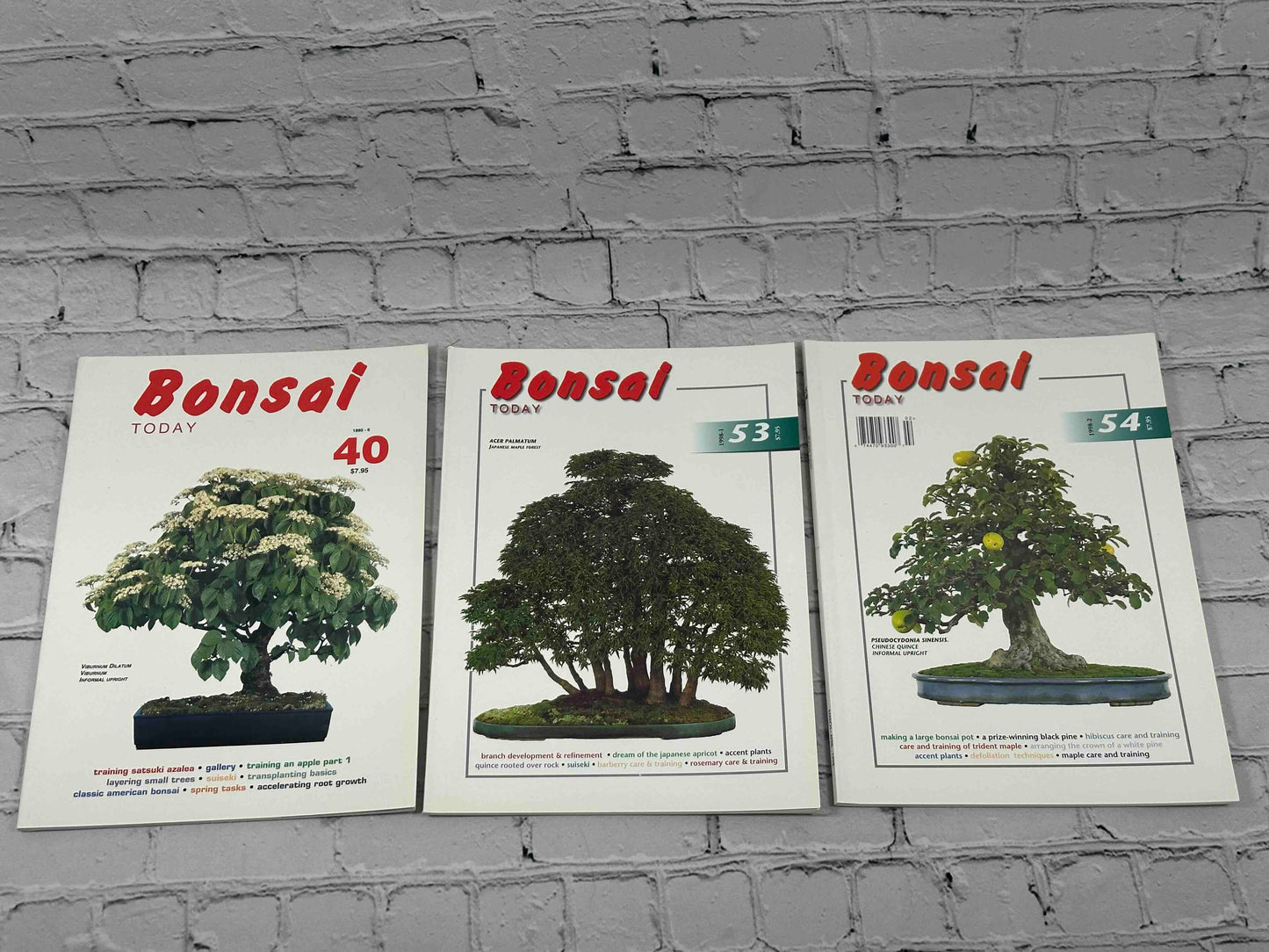 Bonsai Today Magazine [39 Issues]