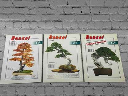 Bonsai Today Magazine [39 Issues]