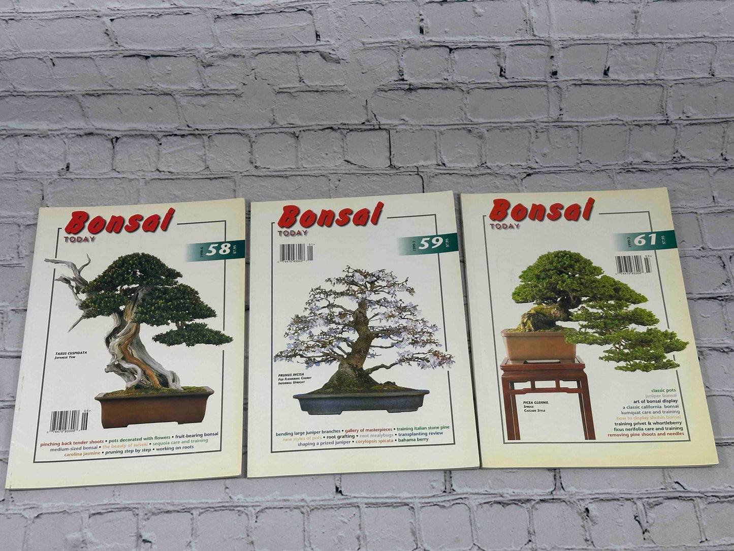 Bonsai Today Magazine [39 Issues]