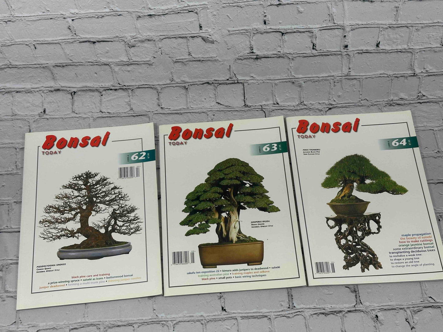 Bonsai Today Magazine [39 Issues]