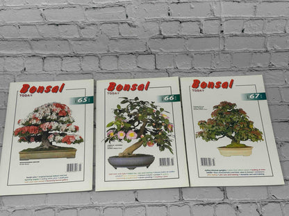 Bonsai Today Magazine [39 Issues]